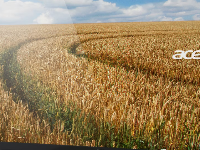 Màn hình Acer K202HQL (19.5 inch/HD+/TN/60Hz/5ms) – Giá rẻ, hiển thị rõ nét cho công việc & học tập - Ảnh 4